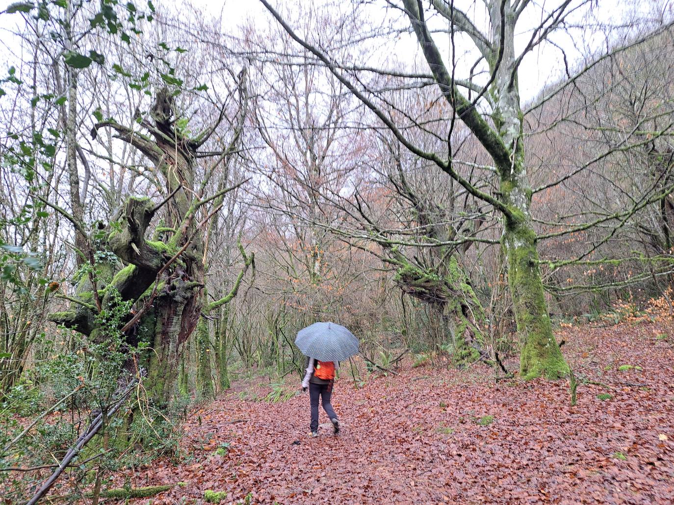 Fotos: Ixkier, el agua marca el ritmo de Larraun