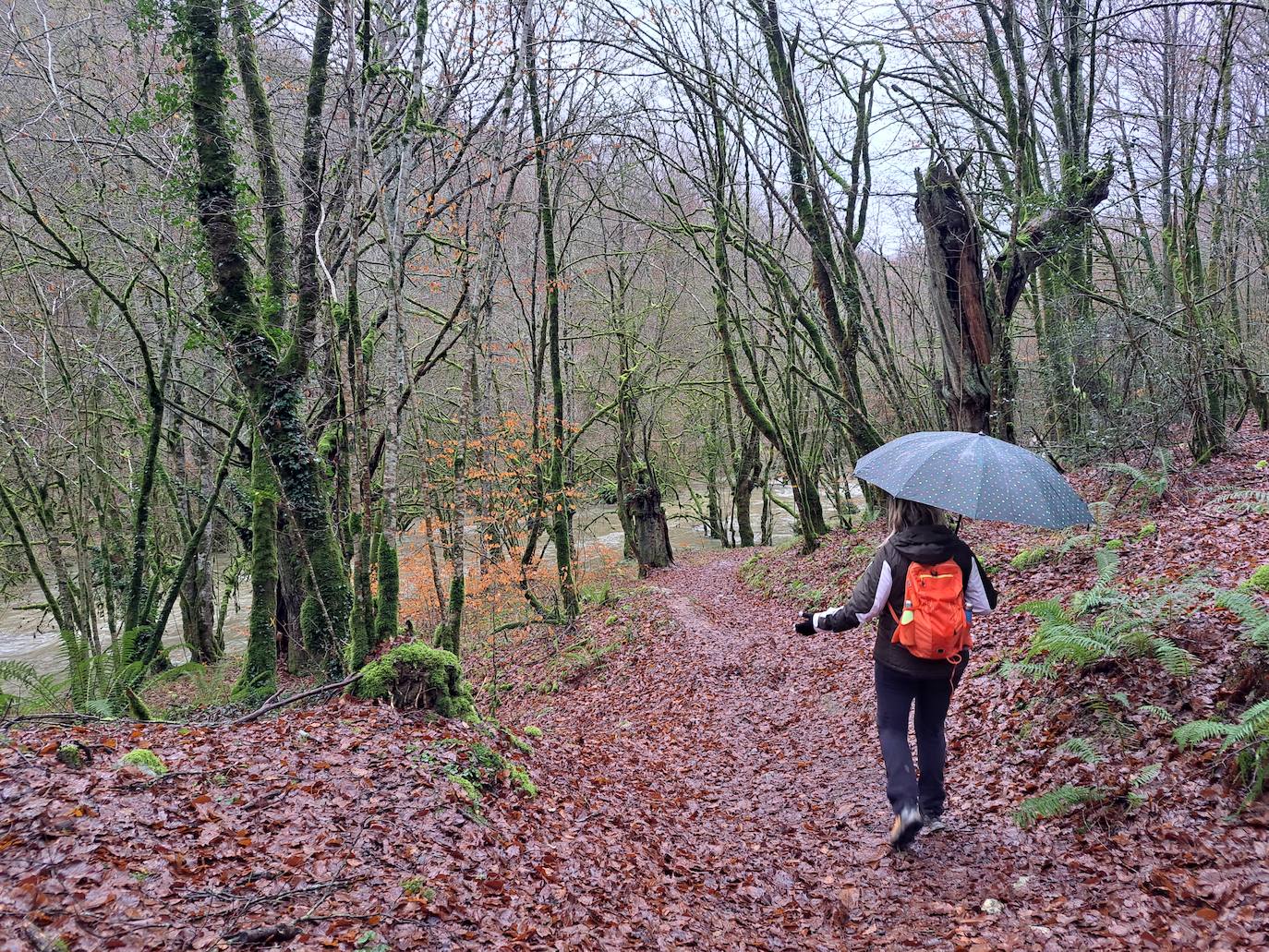 Fotos: Ixkier, el agua marca el ritmo de Larraun