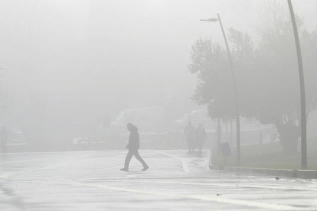 Fotos: Para la lluvia, pero llegan las heladas a Gipuzkoa