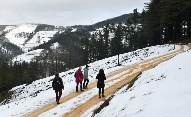 Seguridad pide evitar el monte por el hielo