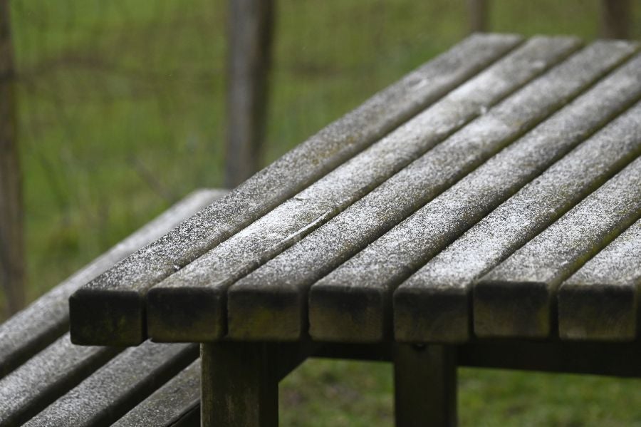 Fotos: Otra semana de frío