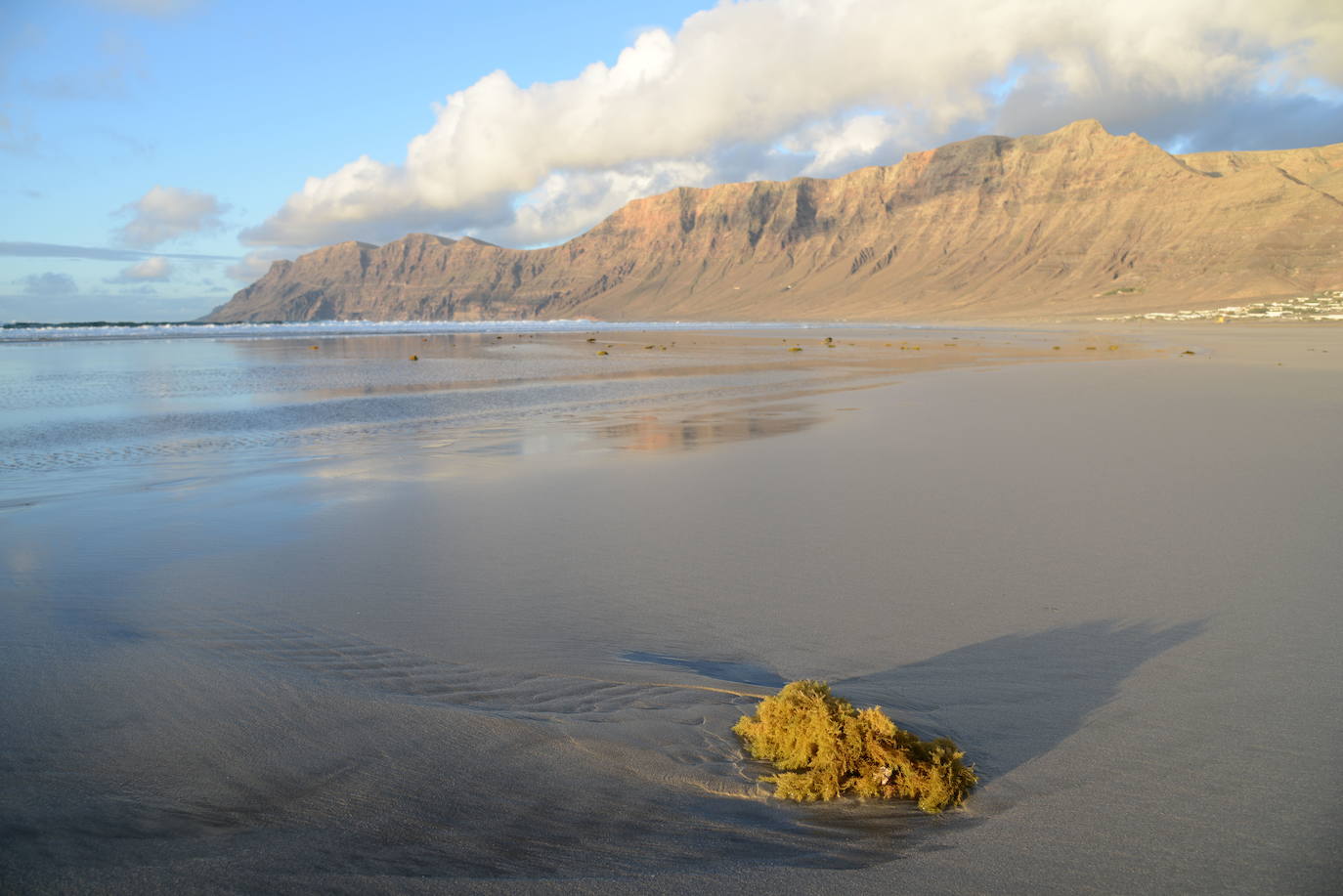 Teguise (Lanzarote)