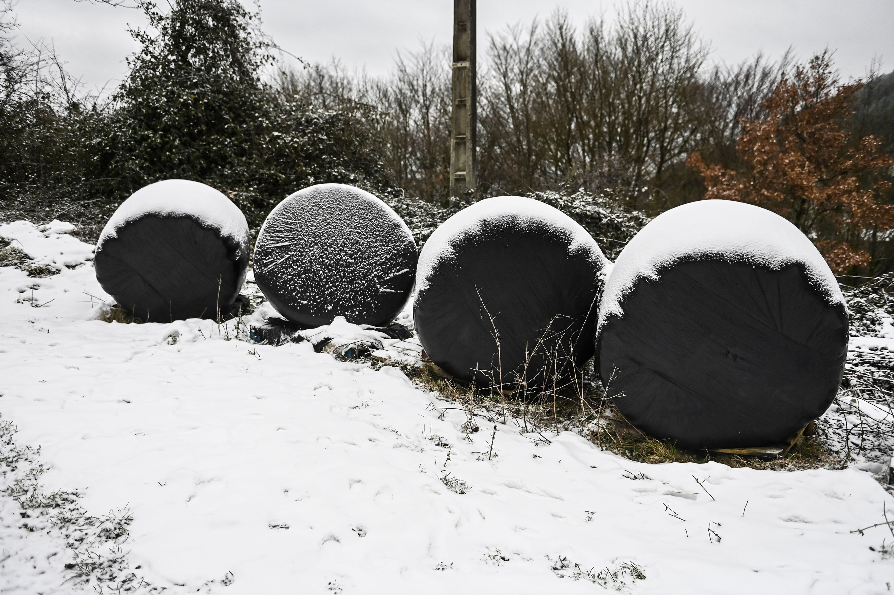 Fotos: Frío y nieve en Etzegarate