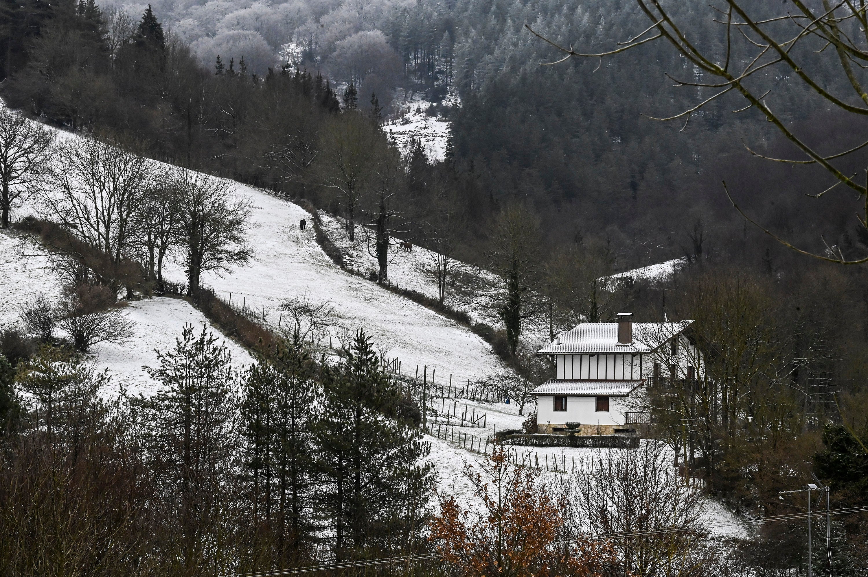 Fotos: Frío y nieve en Etzegarate