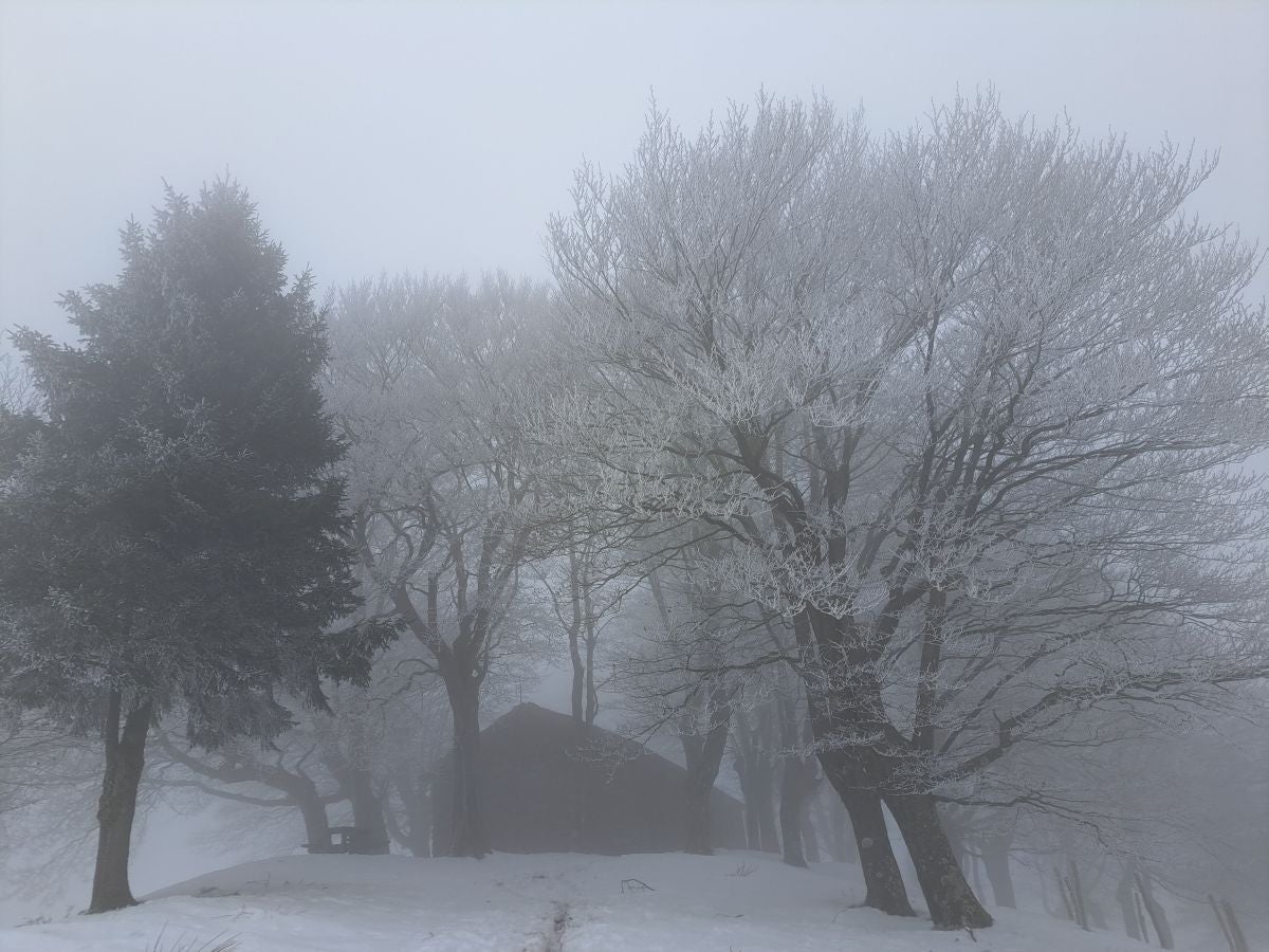 Fotos: Las mejores imágenes de la subida a Larre