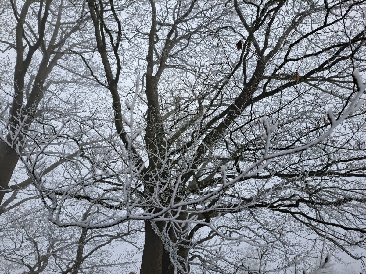 Fotos: Las mejores imágenes de la subida a Larre