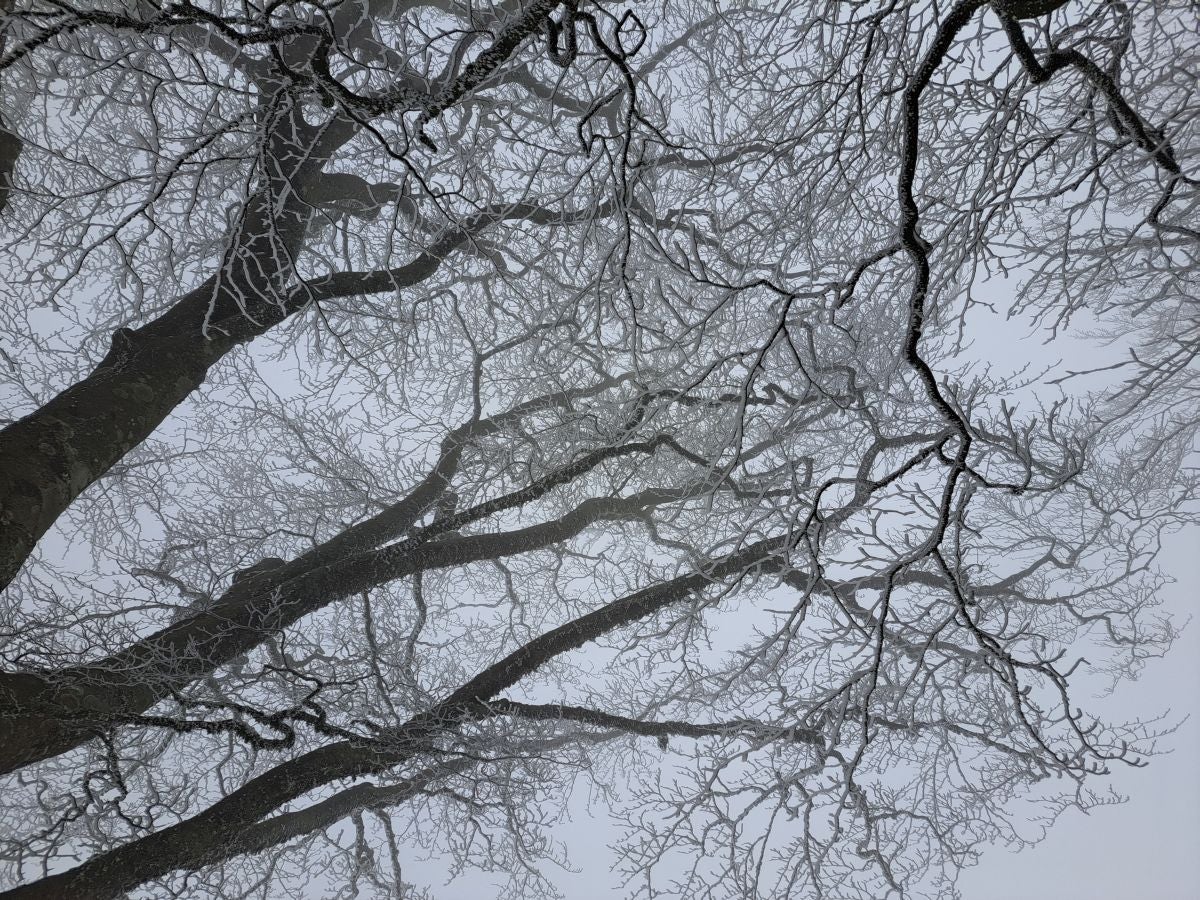 Fotos: Las mejores imágenes de la subida a Larre