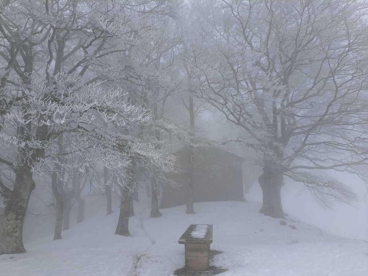 Fotos: Las mejores imágenes de la subida a Larre