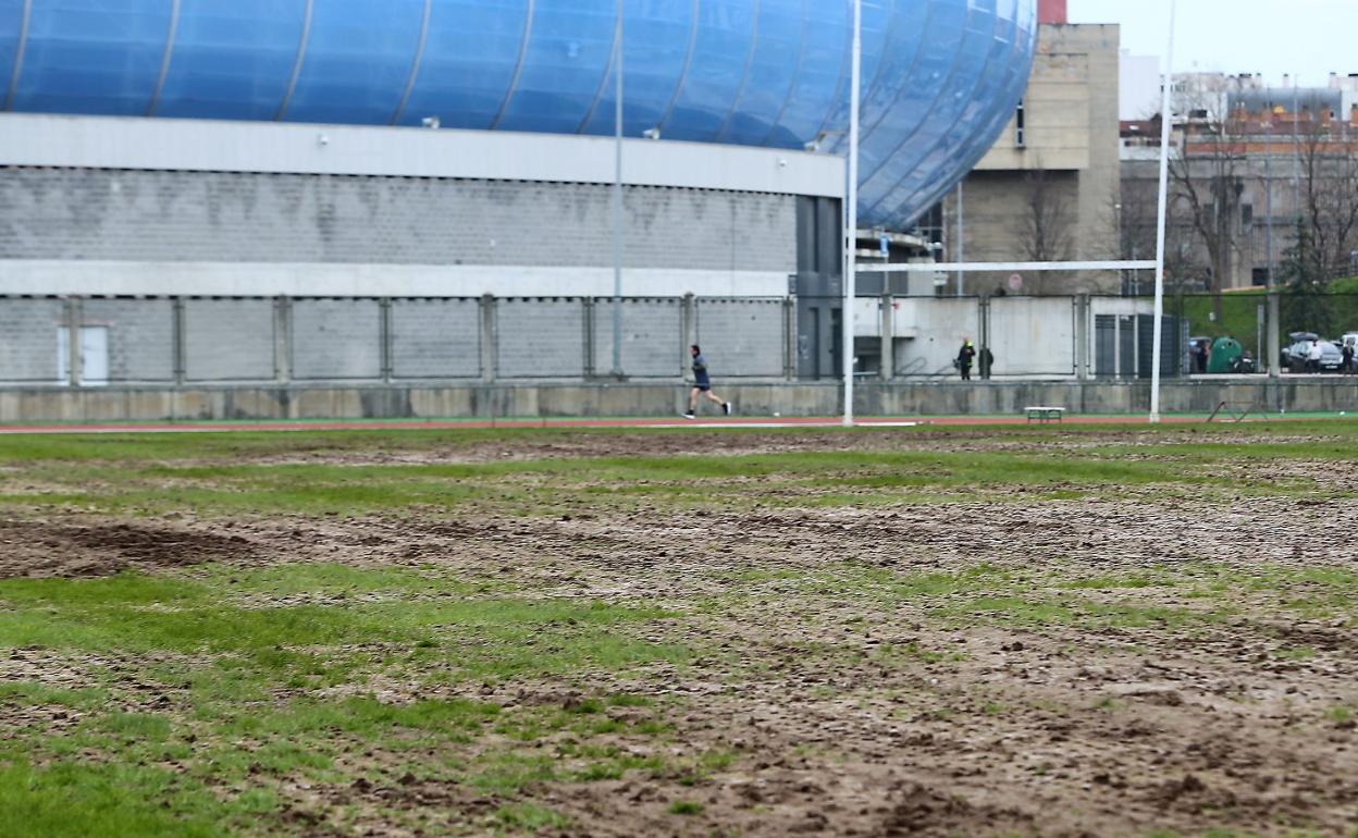 El césped del Miniestadio. 