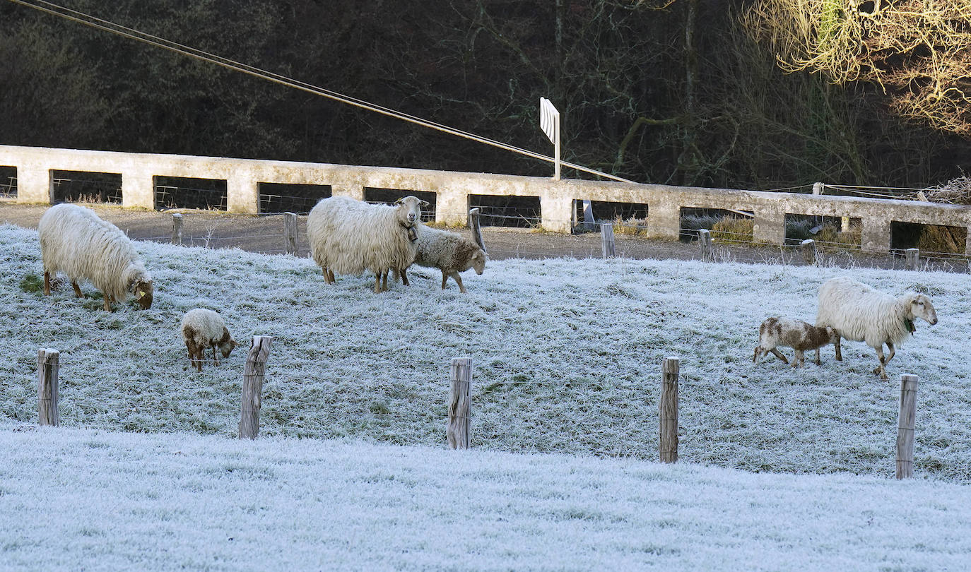 Fotos: Última noche de heladas en Gipuzkoa
