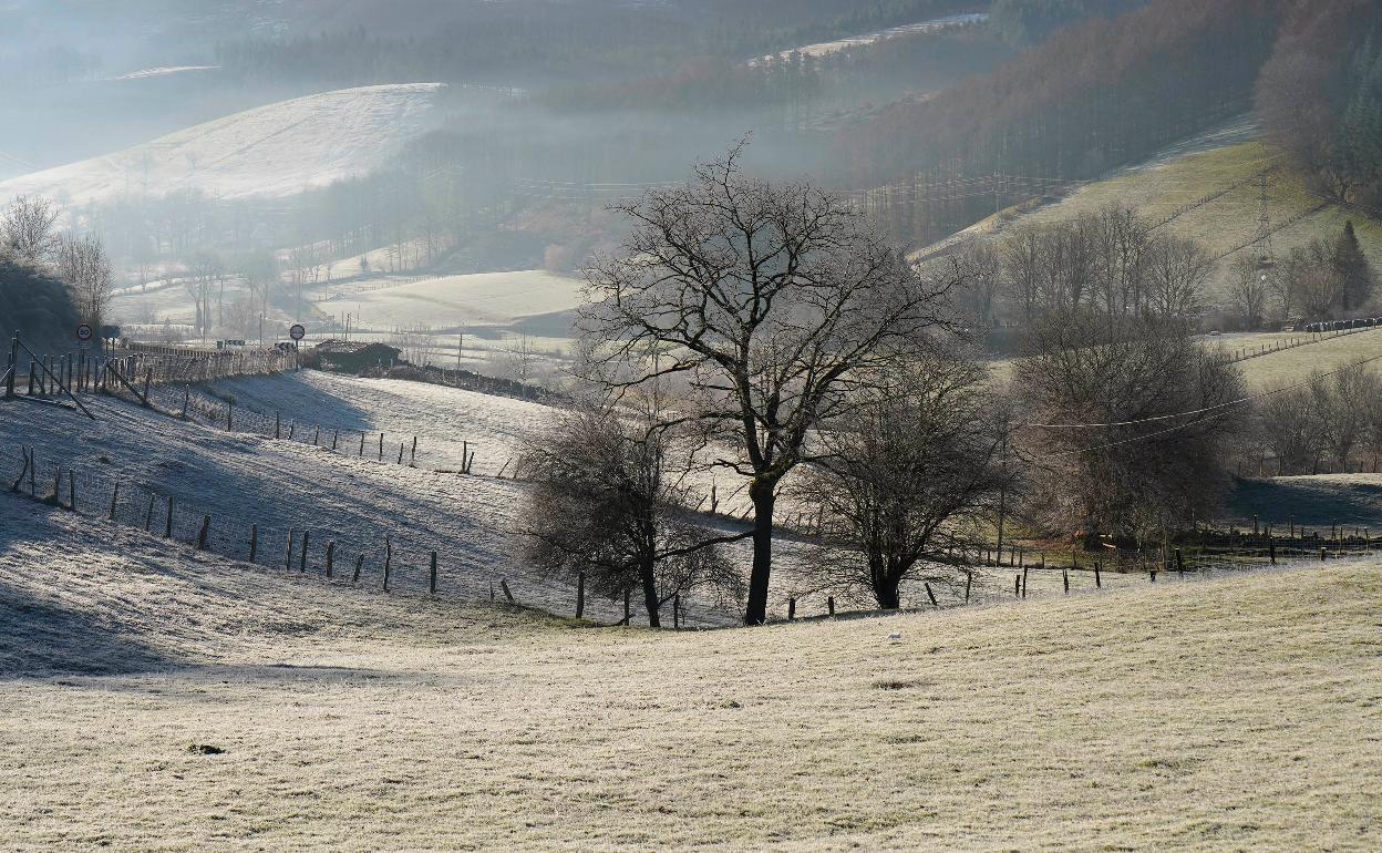 Campa en el entorno de Berastegi que ha amanecido blanca de la helada.