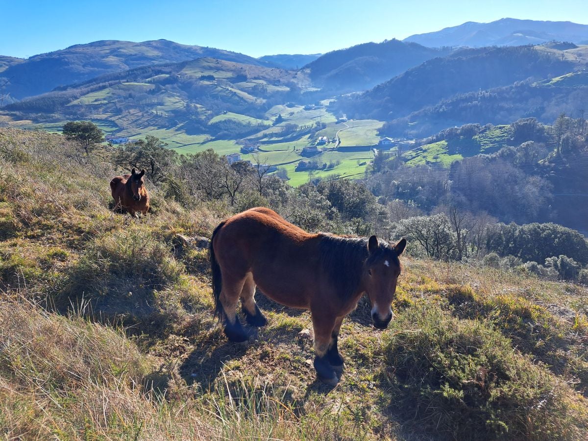 Fotos: Ertxiña, con los ojos en la Suiza del Urola