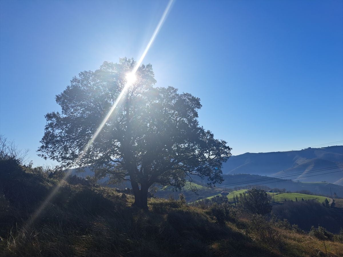 Fotos: Ertxiña, con los ojos en la Suiza del Urola