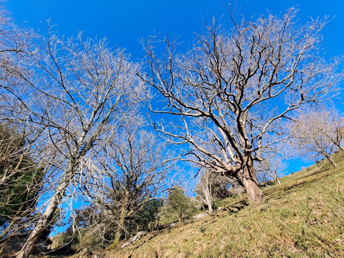 Fotos: Ertxiña, con los ojos en la Suiza del Urola