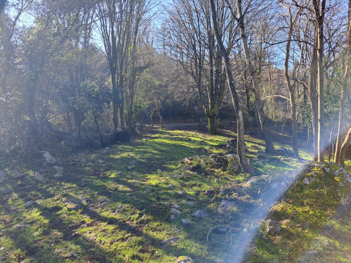 Fotos: Ertxiña, con los ojos en la Suiza del Urola
