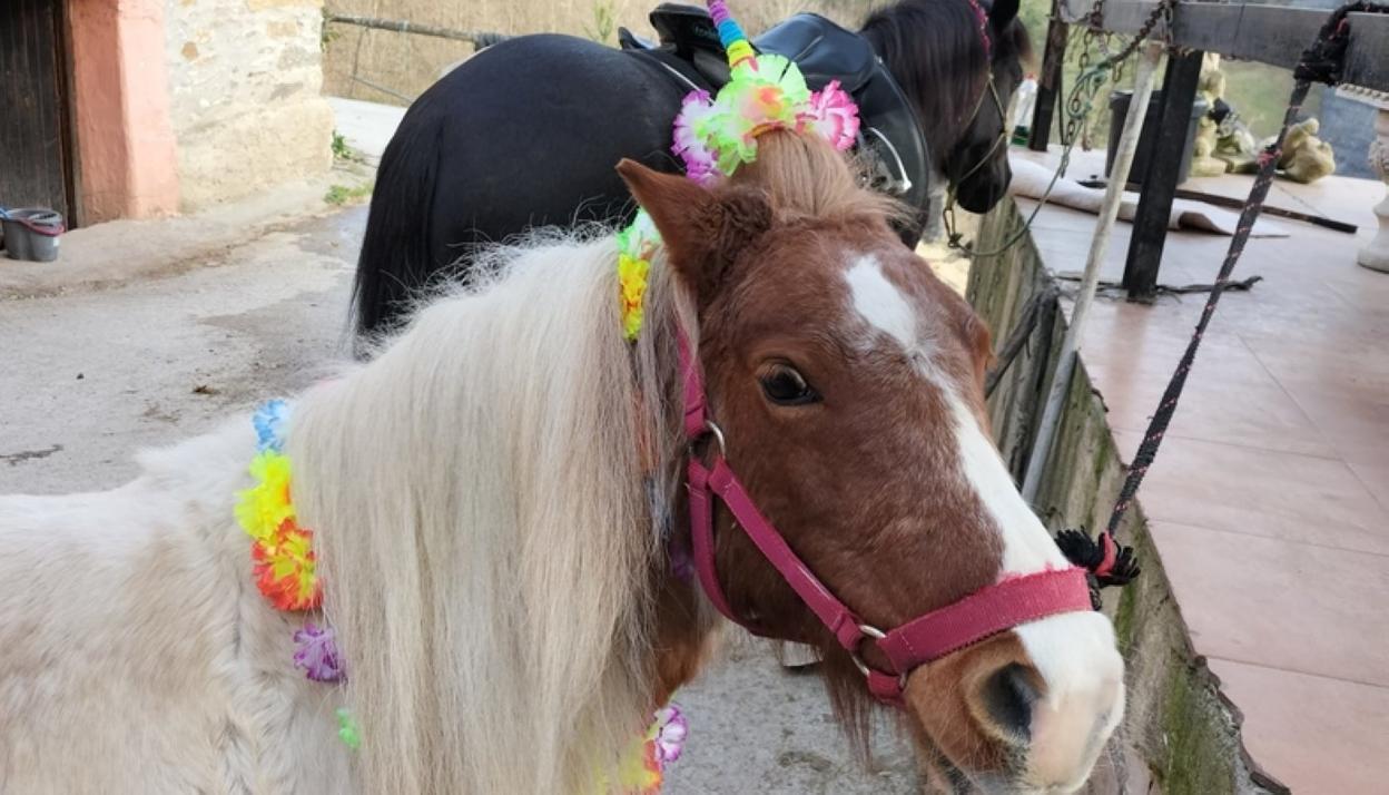 Ezkio : Inauteri festa zaldiaren gainean ospatu zuten Iburren