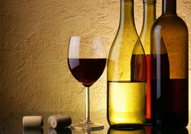 Diferentes tipos de botellas de vino según su tamaño y color
