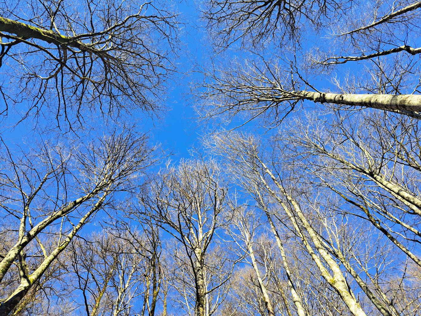 Saioa, una balconada que impresiona