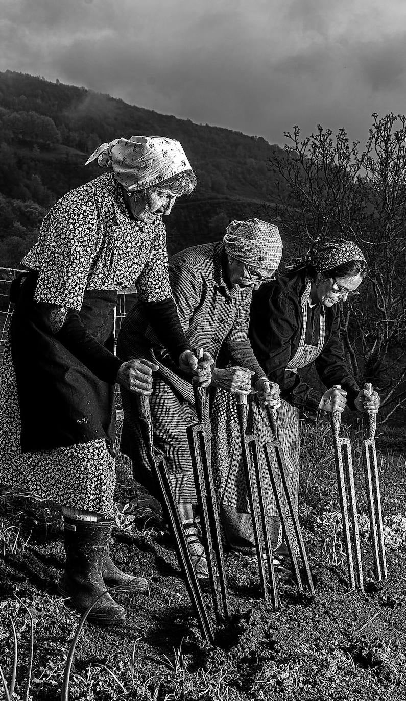 Tres vecinas de Beizama trabajan con laias.