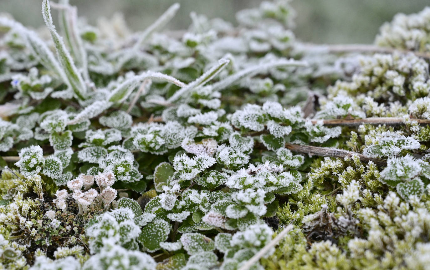 Frío y cielos despejados