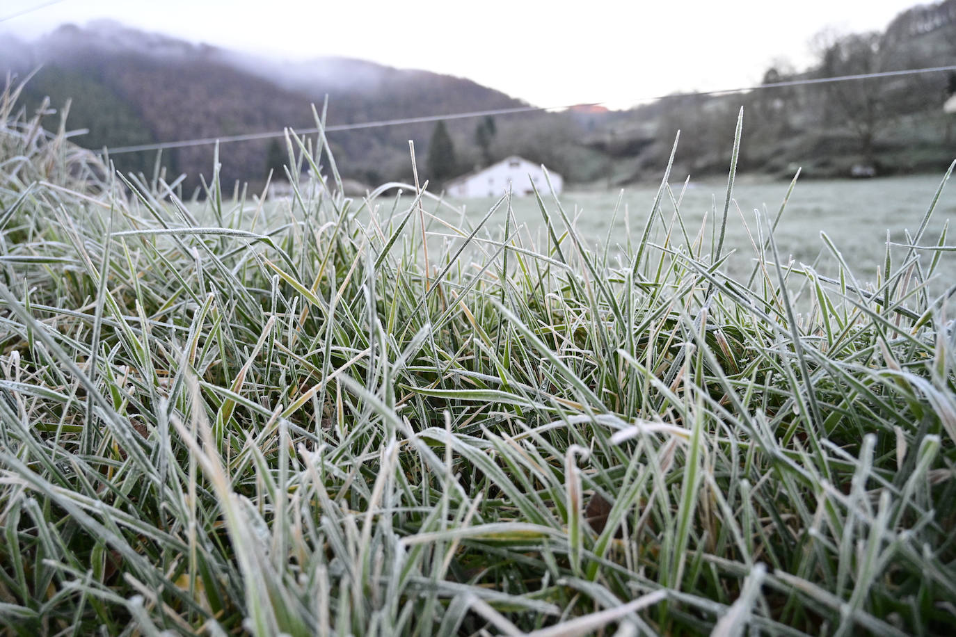 Frío y cielos despejados
