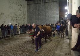 'Igeldo'ren idi parea, onena Euskal Jolaseko erakustaldian