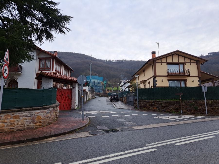 Ipuliño, hayas, pinos, robles y demás árboles en la muga de Gipuzkoa y Navarra