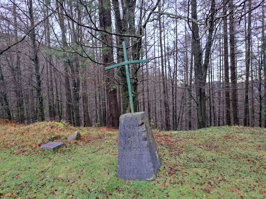 Ipuliño, hayas, pinos, robles y demás árboles en la muga de Gipuzkoa y Navarra