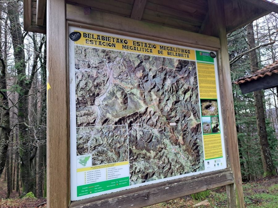 Ipuliño, hayas, pinos, robles y demás árboles en la muga de Gipuzkoa y Navarra