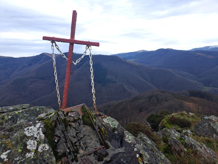 Ipuliño, hayas, pinos, robles y demás árboles en la muga de Gipuzkoa y Navarra