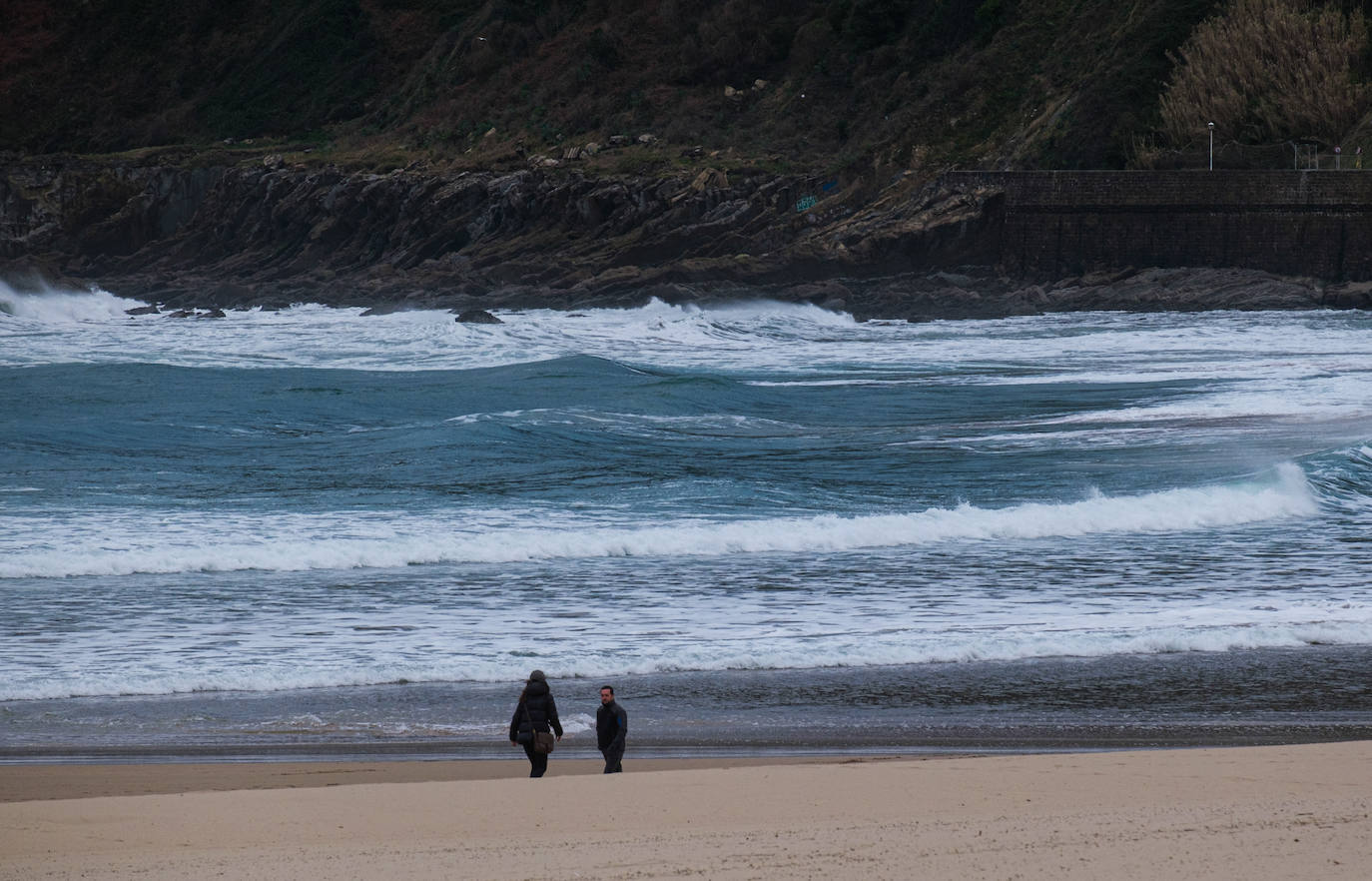 Primavera en enero en Gipuzkoa