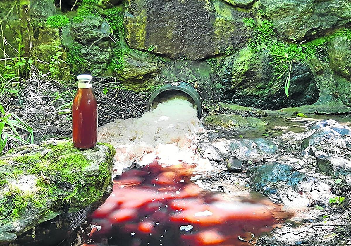 Vertido irregular en la regata de Arkaitzerreka en 2022 por un fallo en unas bombas de extracción de aguas residuales de la incineradora de Zubieta.