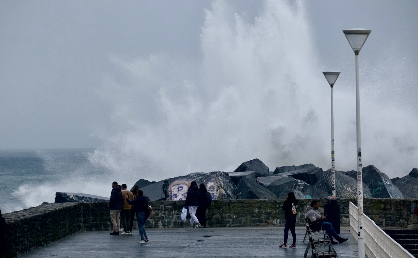 Primavera en enero en Gipuzkoa