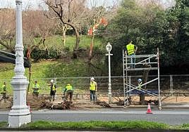 Tala de árboles esta mañana en la avenida de Navarra