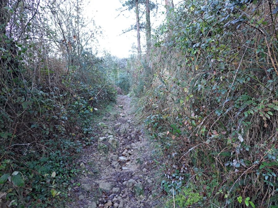 La belleza natural de Arno