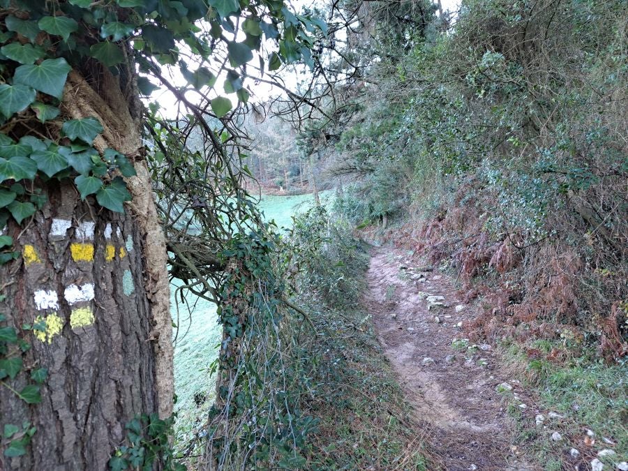 La belleza natural de Arno