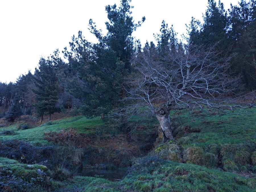 La belleza natural de Arno