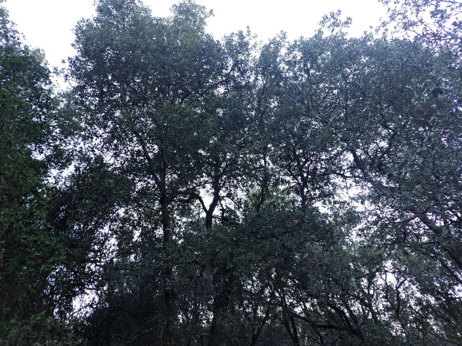 La belleza natural de Arno