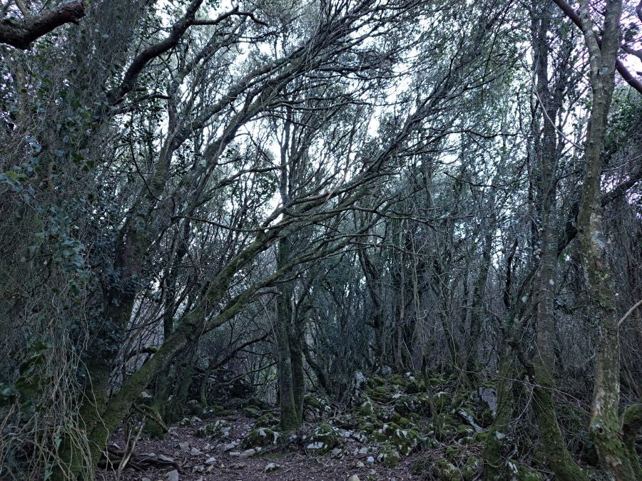 La belleza natural de Arno