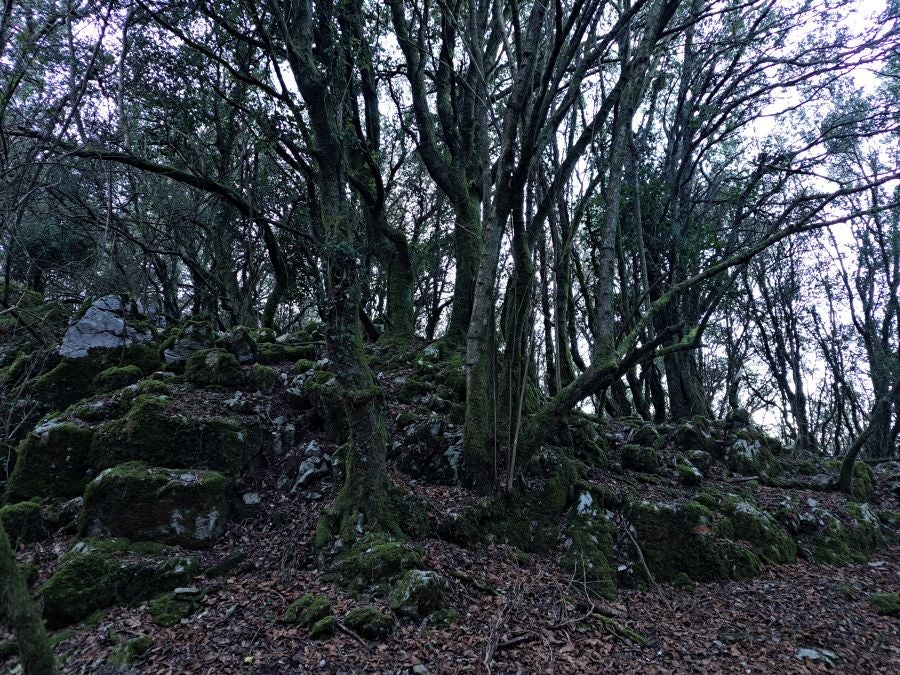 La belleza natural de Arno