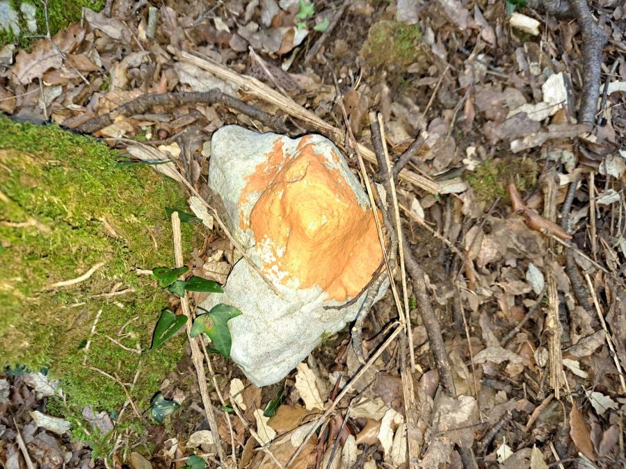 La belleza natural de Arno