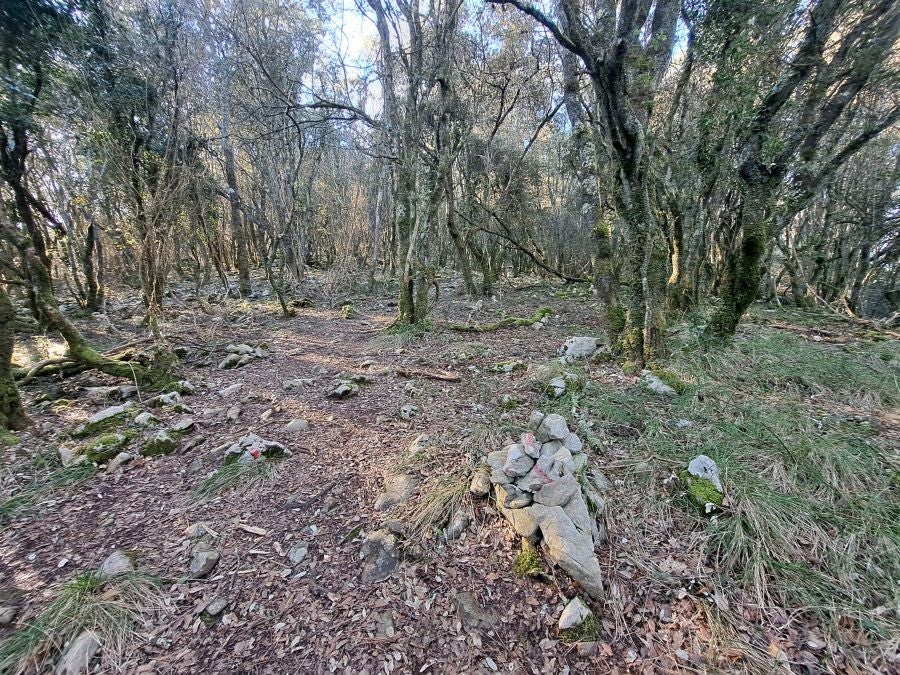 La belleza natural de Arno