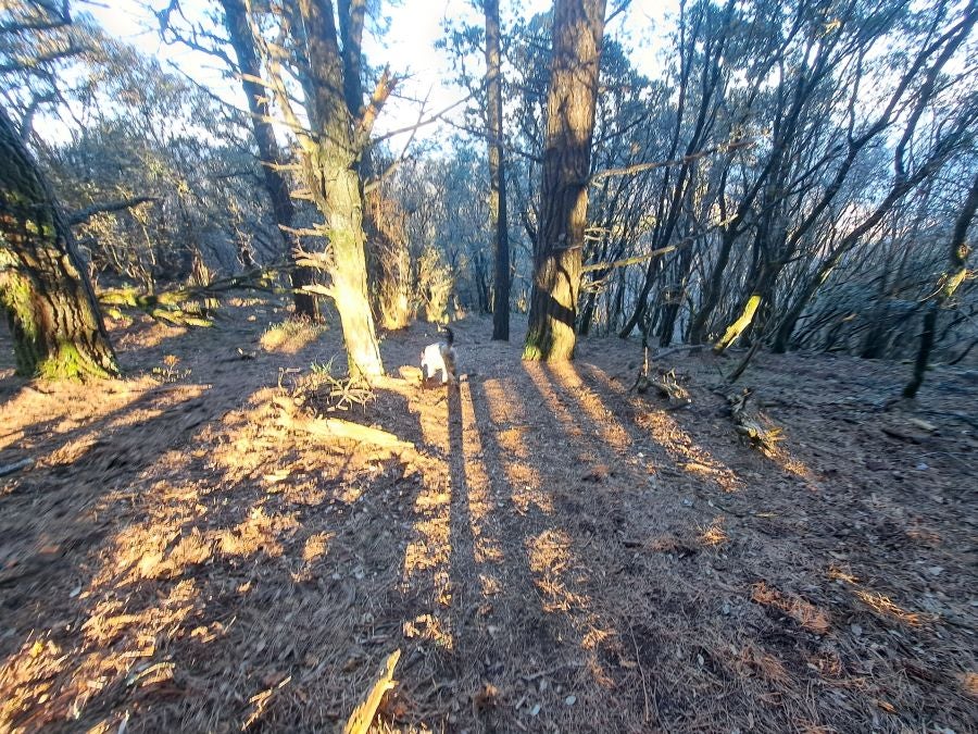 La belleza natural de Arno