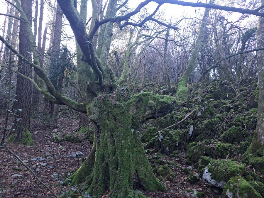 La belleza natural de Arno