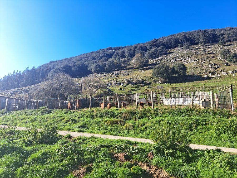 La belleza natural de Arno