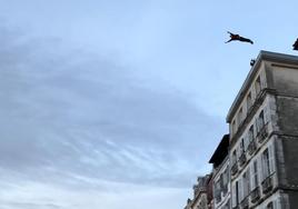 Brice Poule, en pleno salto sobre el río en el centro de Baiona.