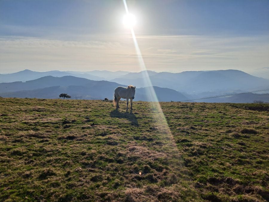 Ezkeltzu, el precioso balcón de Zizurkil