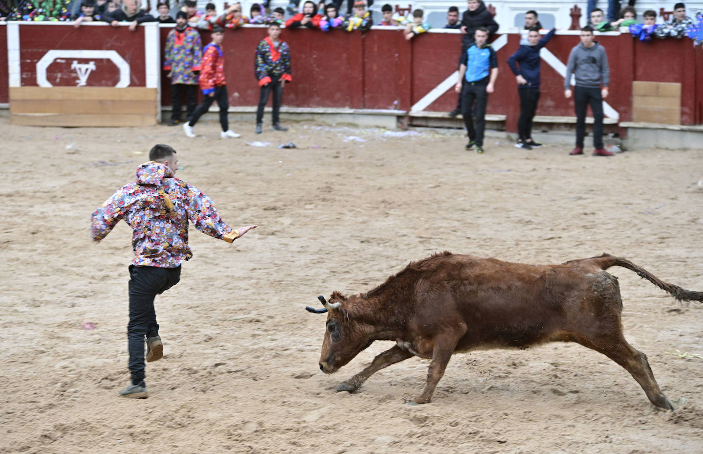 Ya es Carnaval en Tolosa