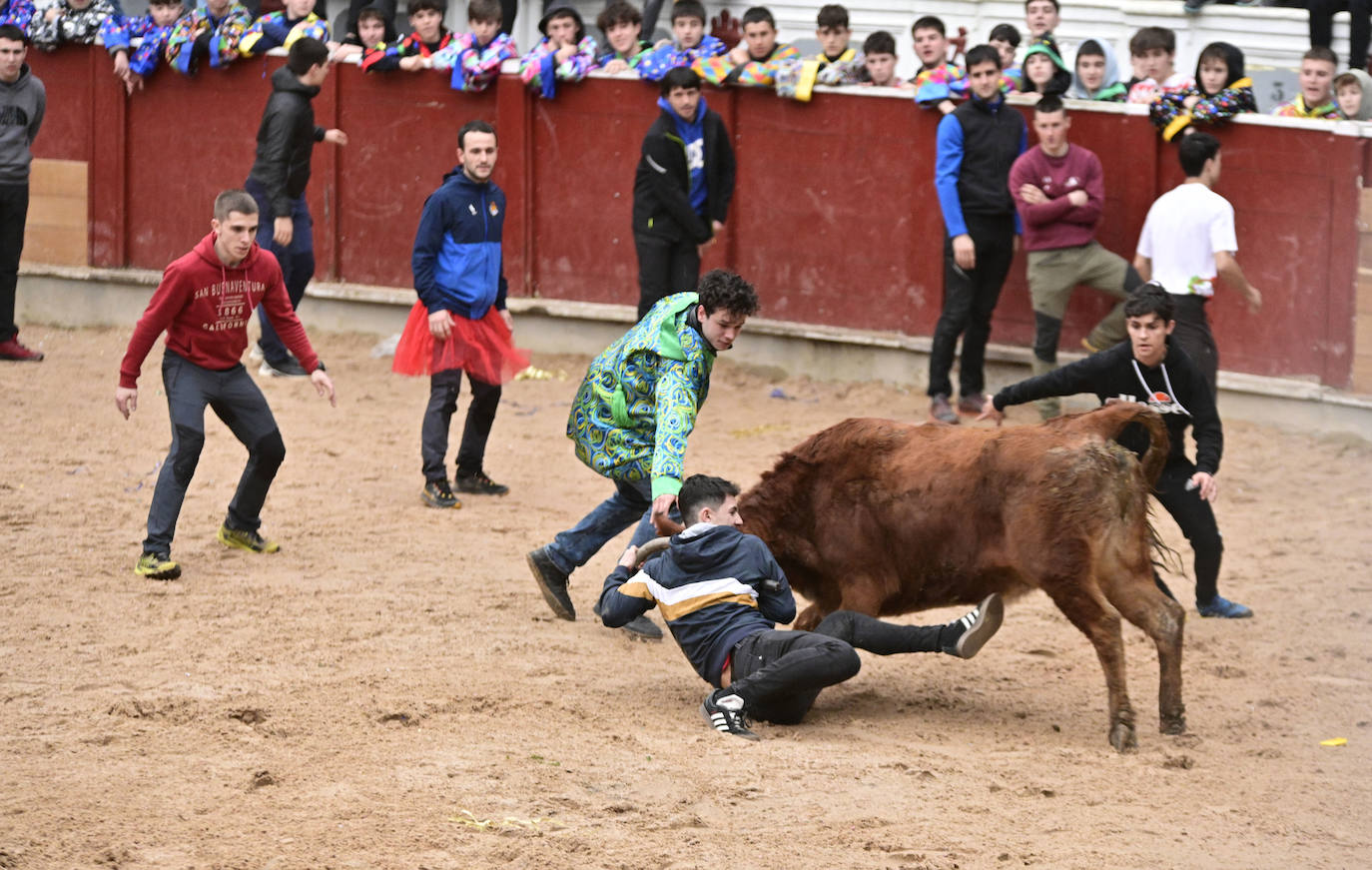 Ya es Carnaval en Tolosa