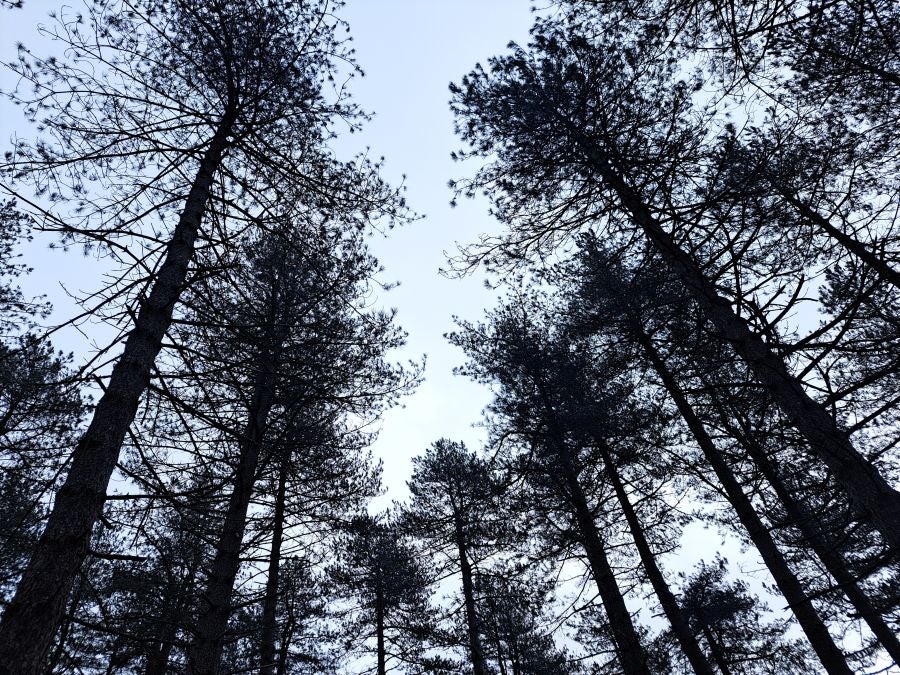 Arranoaitz, un paseo entre cimas